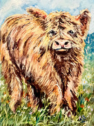 9" x 12" x 1.5" Oil